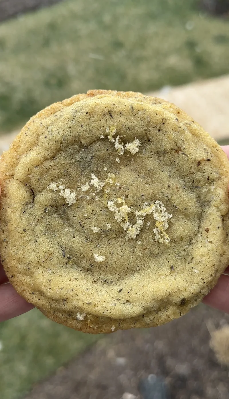 Organic Lavender Lemon Poppyseed Sugar Cookies